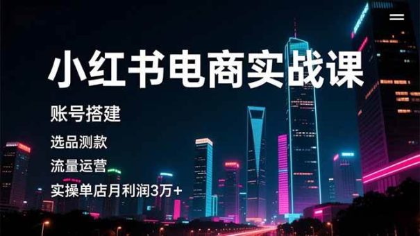(16615期)小红书电商实战课,账号搭建,选品测款,流量运营,实操月利润3万+-韬哥副业项目资源网