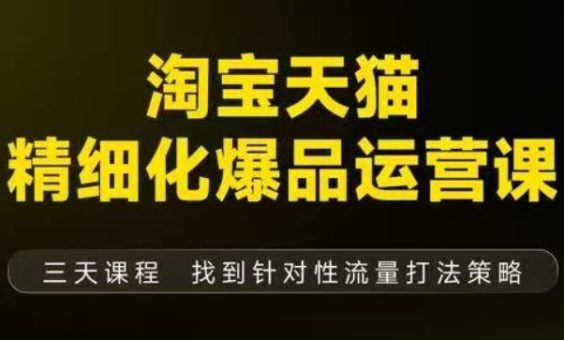 淘宝天猫精细化爆品运营（9月12-14杭州线下课），全方位拆解爆品打造逻辑【音频+字幕+文档】-韬哥副业项目资源网