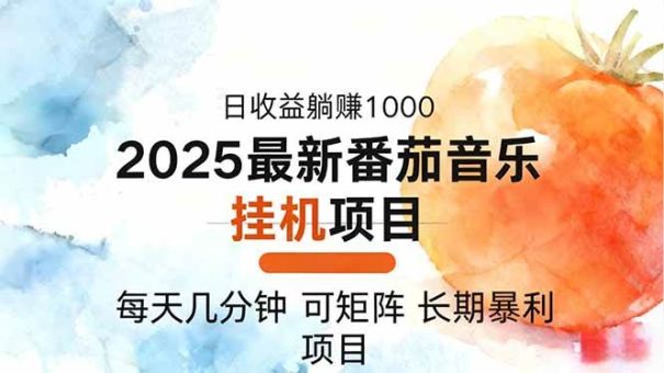 （16491期）2025年最新番茄音乐人挂机项目，每天几分钟，月入1000＋，可矩阵，一台…-韬哥副业项目资源网