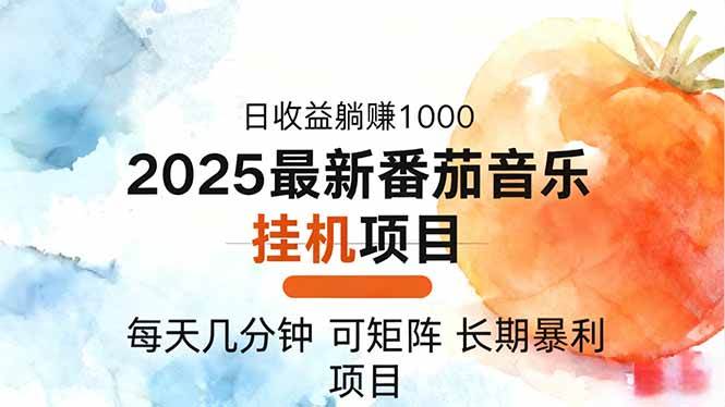 （16491期）2025年最新番茄音乐人挂机项目，每天几分钟，月入1000＋，可矩阵，一台…-韬哥副业项目资源网