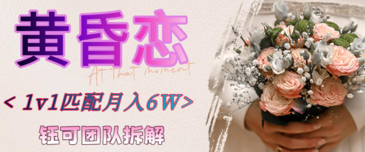 副业拆解：黄昏恋1对1匹配月入6个，潜力巨大-韬哥副业项目资源网