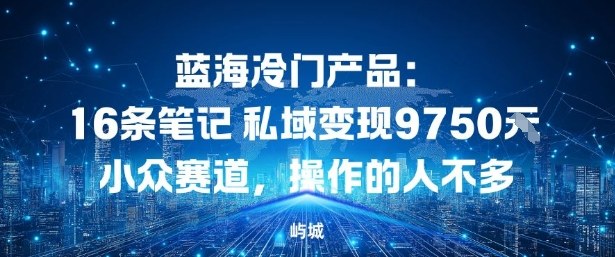 蓝海冷门产品：16条笔记私域变现9750米，小众赛道，操作的人不多-韬哥副业项目资源网