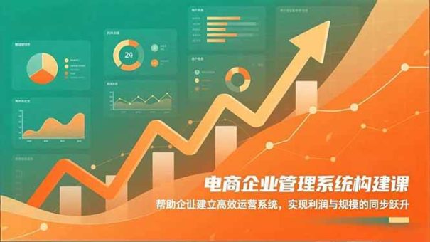 (16643期)电商企业管理系统构建课:帮助企业建立高效运营系统,实现利润与规模的同步跃升-韬哥副业项目资源网