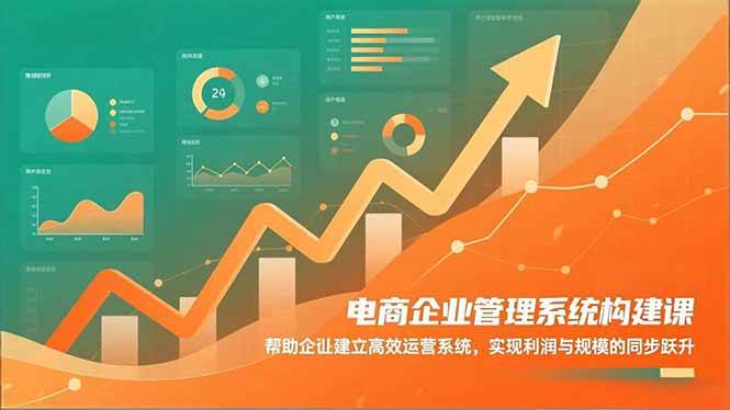 （16643期）电商企业管理系统构建课：帮助企业建立高效运营系统，实现利润与规模的同步跃升-韬哥副业项目资源网