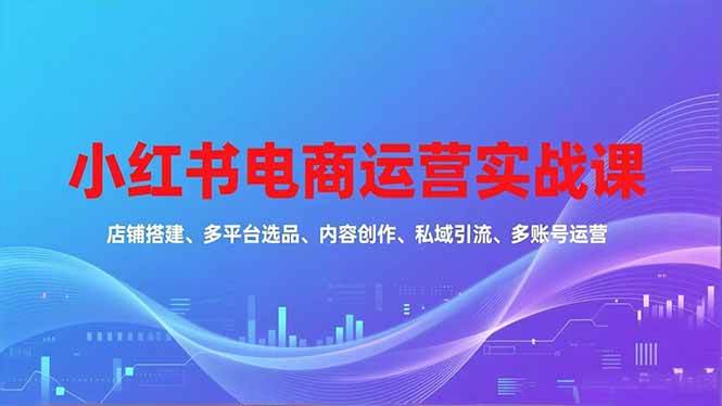 (16695期)小红书电商运营实战课,店铺搭建、多平台选品、内容创作、私域引流、多账号运营等玩法-韬哥副业项目资源网