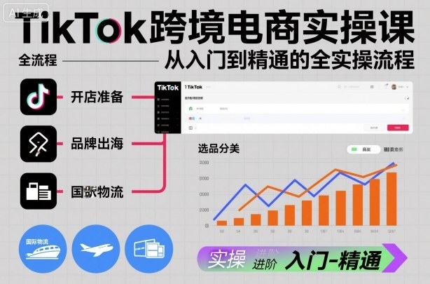 TikTok跨境电商实操课，从入门到精通的全实操流程-韬哥副业项目资源网