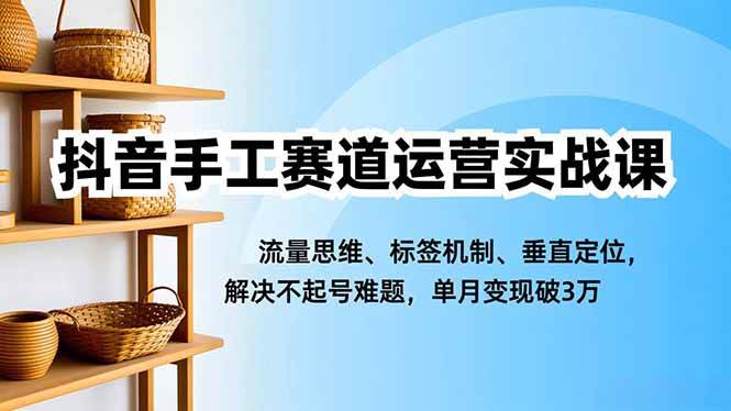 (16667期)抖音手工赛道运营实战课,流量思维、标签机制、垂直定位,解决不起号难题,单月变现破3万-韬哥副业项目资源网