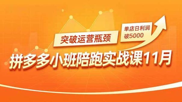 (16654期)拼多多小班陪跑实战课11月,强付费矩阵、原价活动、暗券引流,突破运营瓶颈,单店日利润破5000-韬哥副业项目资源网