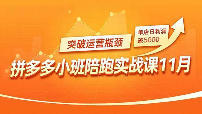（16654期）拼多多小班陪跑实战课11月，强付费矩阵、原价活动、暗券引流，突破运营瓶颈，单店日利润破5000-韬哥副业项目资源网