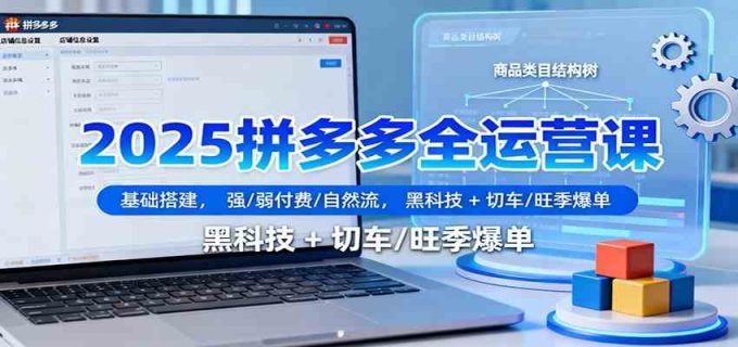 2025拼多多全运营课：基础搭建，强/弱付费/自然流，黑科技 + 切车/旺季爆单-韬哥副业项目资源网