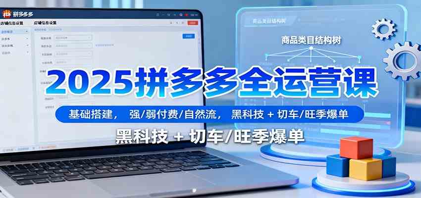 2025拼多多全运营课:基础搭建,强/弱付费/自然流,黑科技 + 切车/旺季爆单-韬哥副业项目资源网