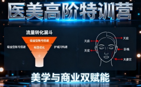0-1000W医美高阶特训营课程，美学与商业双赋能-韬哥副业项目资源网