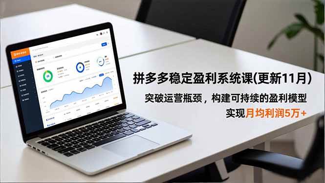 （16641期）拼多多稳定盈利系统课(更新11月)，突破运营瓶颈，构建可持续的盈利模型，实现月均利润5万+-韬哥副业项目资源网