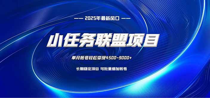 （16521期）小任务联盟项目：一台电脑每天只需10分钟，轻松简单稳定-韬哥副业项目资源网