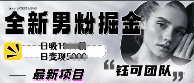 全新男粉掘金思路日吸粉100+日变现1k+-韬哥副业项目资源网