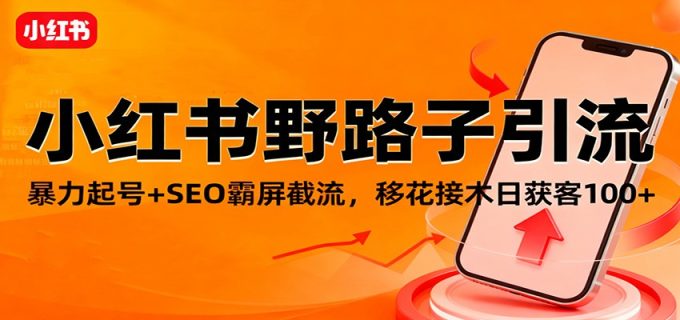 小红书野路子引流，暴力起号+SEO霸屏截流，移花接木日获客100+-韬哥副业项目资源网