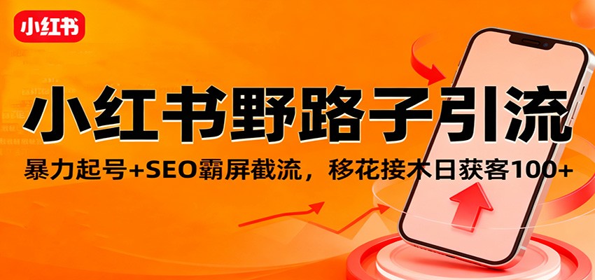 小红书野路子引流，暴力起号+SEO霸屏截流，移花接木日获客100+-韬哥副业项目资源网