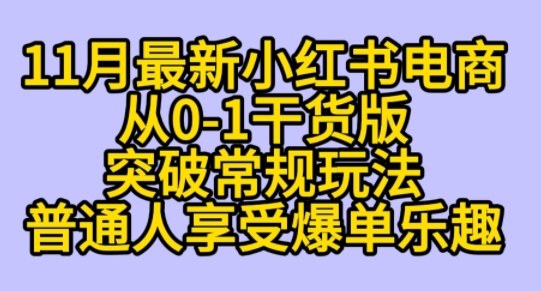 K总部落《11月小红书电商最新玩法从0-1突破平台流量》-韬哥副业项目资源网