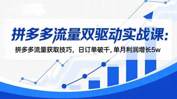 （16563期）拼多多流量双驱动实战课：拼多多流量获取技巧，日订单破千,单月利润增长5w-韬哥副业项目资源网