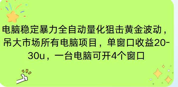 （16737期）电脑EA策略挂机项目单窗口收益20-30u，单电脑可挂5-10个窗口收益稳健4位数-韬哥副业项目资源网