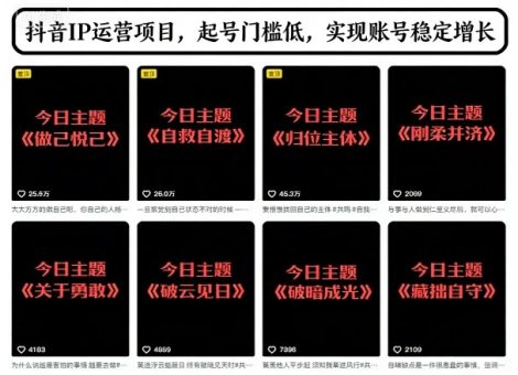 抖音IP运营项目，抖音今日主题玩法，起号门槛低，实现账号稳定增长-韬哥副业项目资源网