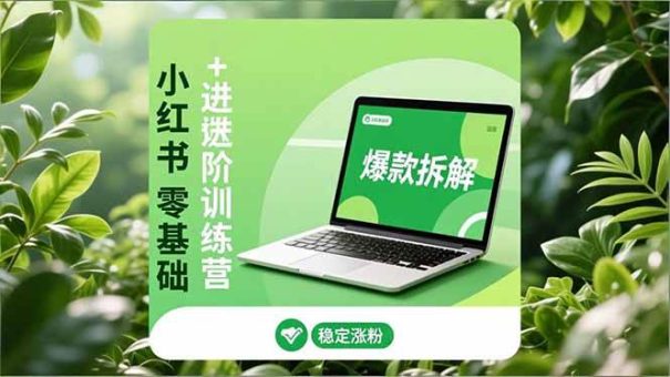 (16801期)小红书零基础+高阶训练营:安全养号、爆款拆解、长效运营,实现稳定涨粉与变现-韬哥副业项目资源网