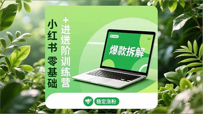 （16801期）小红书零基础+高阶训练营：安全养号、爆款拆解、长效运营，实现稳定涨粉与变现-韬哥副业项目资源网