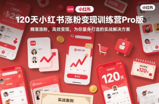 120天小红书涨粉变现训练营Pro版,精准涨粉,高效变现,为你量身打造的实战解决方案-韬哥副业项目资源网