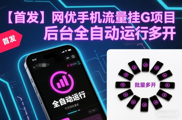 【首发】网优手机流量挂G项目，后台全自动运行，可无限批量多开【揭秘】-韬哥副业项目资源网