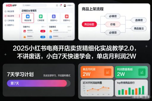2025小红书电商开店卖货精细化实战教学2.0，不讲废话，小白7天快速学会，单店月利润2W-韬哥副业项目资源网