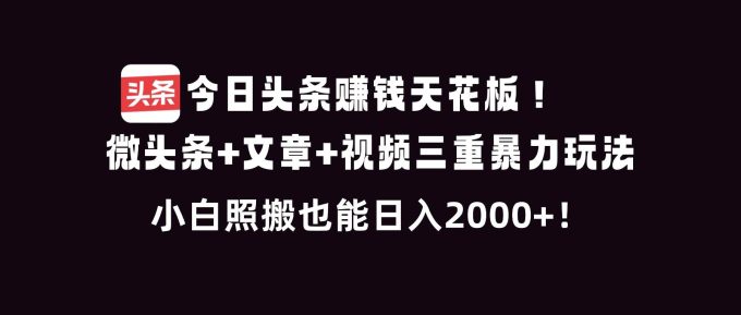 (16888期)今日头条赚钱天花板!微头条+文章+视频三重暴利玩法,小白照搬也能日人2000+-韬哥副业项目资源网