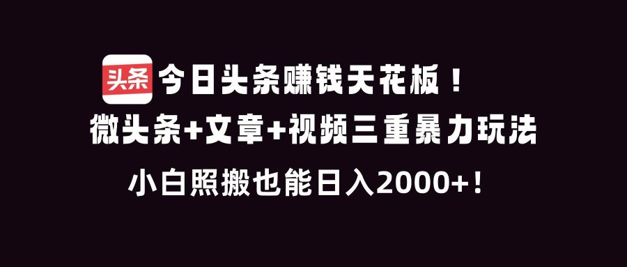 (16888期)今日头条赚钱天花板!微头条+文章+视频三重暴利玩法,小白照搬也能日人2000+-韬哥副业项目资源网