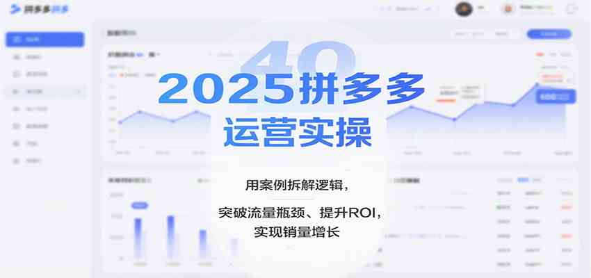 2025拼多多运营实操，用案例拆解逻辑，突破流量瓶颈、提升ROI，实现销量增长（更新）-韬哥副业项目资源网