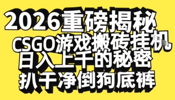 2026开年重磅解密，CSGO游戏搬砖挂G日入1k+的秘密，把倒狗的底裤扒干【揭秘】-韬哥副业项目资源网