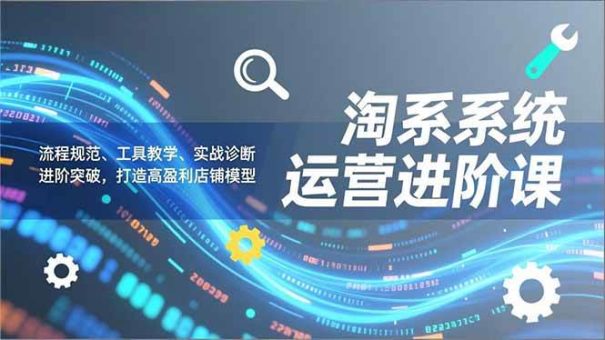 (16927期)淘系系统运营进阶课2.0,流程规范、工具教学、实战诊断,进阶突破,打造高盈利店铺模型-韬哥副业项目资源网