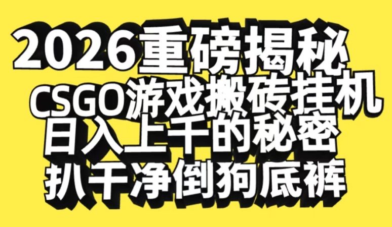 2026开年重磅解密，CSGO游戏搬砖挂机日入上千的秘密，把倒狗的底裤扒干-韬哥副业项目资源网