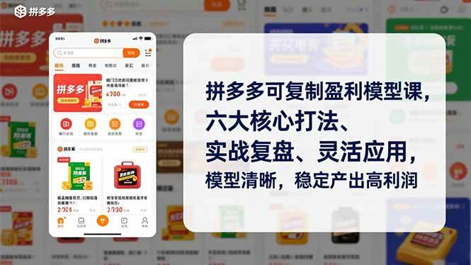 （16952期）拼多多可复制盈利模型课，六大核心打法、实战复盘、灵活应用，模型清晰，稳定产出高利润-韬哥副业项目资源网