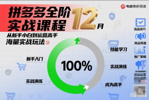 拼多多全阶实战课程12月,从新手小白到运营高手,海量实战玩法-韬哥副业项目资源网