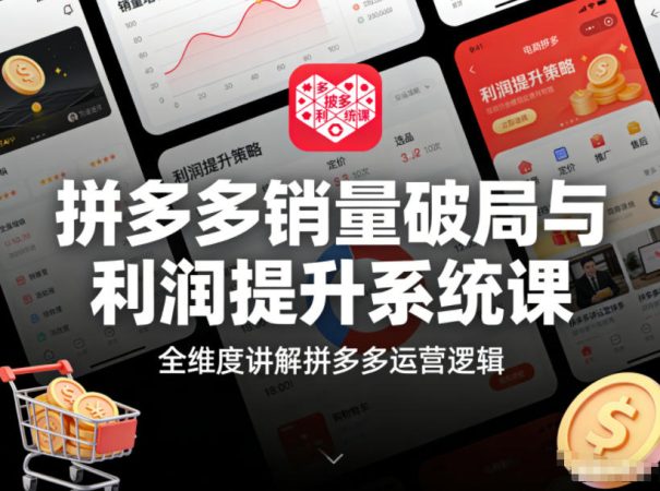 拼多多销量破局与利润提升系统课,全维度讲解拼多多运营逻辑-韬哥副业项目资源网