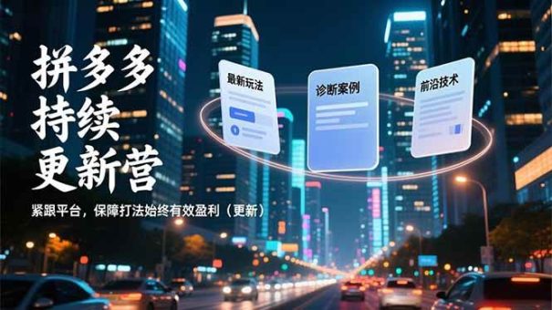 (16987期)拼多多持续更新营,最新玩法、诊断案例、前沿技术,紧跟平台,保障打法始终有效盈利(更新)-韬哥副业项目资源网