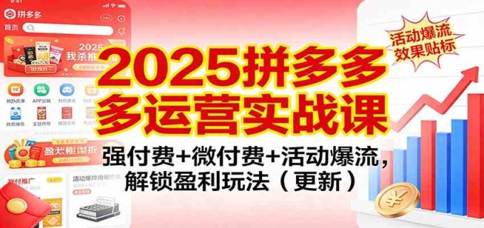 2025拼多多运营实战课:强付费+微付费+活动爆流,解锁盈利玩法(更新)-韬哥副业项目资源网