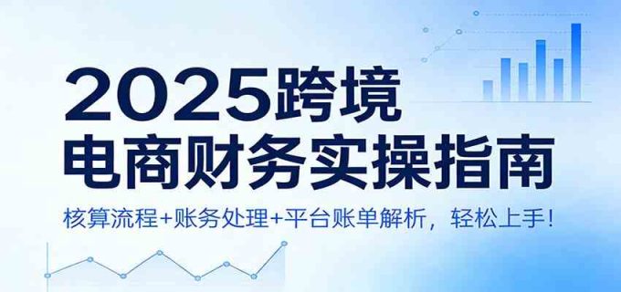 2025跨境电商财务实操指南：核算流程+账务处理+平台账单解析，轻松上手！-韬哥副业项目资源网