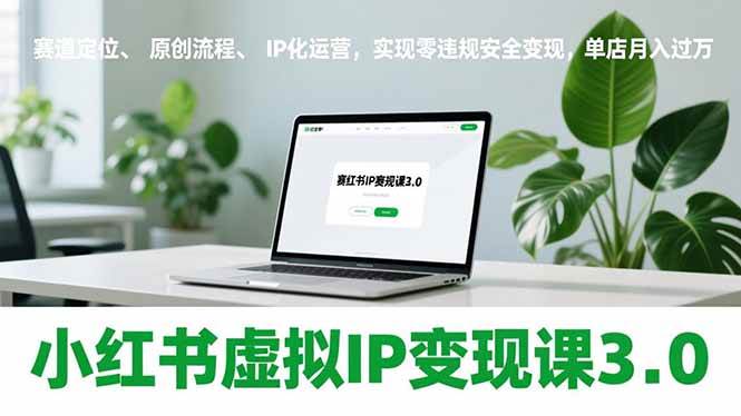 （17029期）小红书虚拟IP变现课3.0，赛道定位、原创流程、IP化运营，实现零违规安全变现，单店月入过万-韬哥副业项目资源网