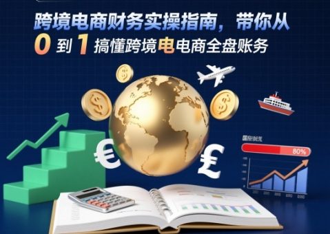 跨境电商财务实操指南,带你从0到1搞懂跨境电商全盘账务-韬哥副业项目资源网