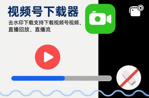 视频号下载器,去水印下载,支持下载视频号视频、直播回放、直播流-韬哥副业项目资源网