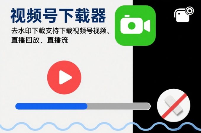 视频号下载器,去水印下载,支持下载视频号视频、直播回放、直播流-韬哥副业项目资源网