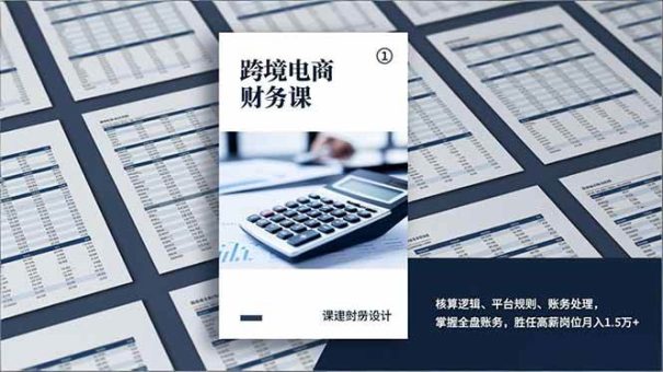 (17036期)跨境电商财务课,核算逻辑、平台规则、账务处理,掌握全盘账务,胜任高薪岗位月入1.5万+-韬哥副业项目资源网