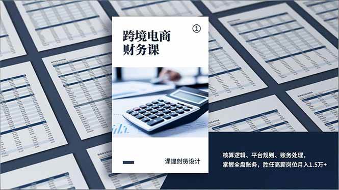 （17036期）跨境电商财务课，核算逻辑、平台规则、账务处理，掌握全盘账务，胜任高薪岗位月入1.5万+-韬哥副业项目资源网