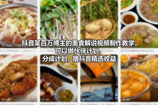 抖音某百万博主的美食解说视频制作教学,可以做伙伴计划,分成计划,撸抖音精选收益-韬哥副业项目资源网