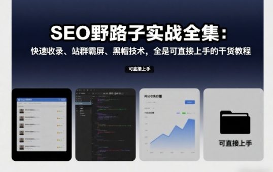 SEO野路子实战全集:快速收录、站群霸屏、黑帽技术,全是可直接上手的干货教程-韬哥副业项目资源网